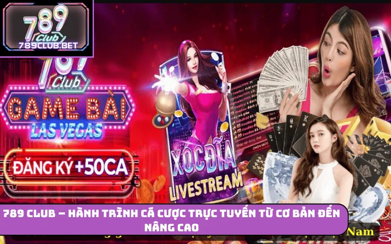 789Club – Cá Cược Trực Tuyến Từ Cơ Bản Đến Nâng Cao 789Club